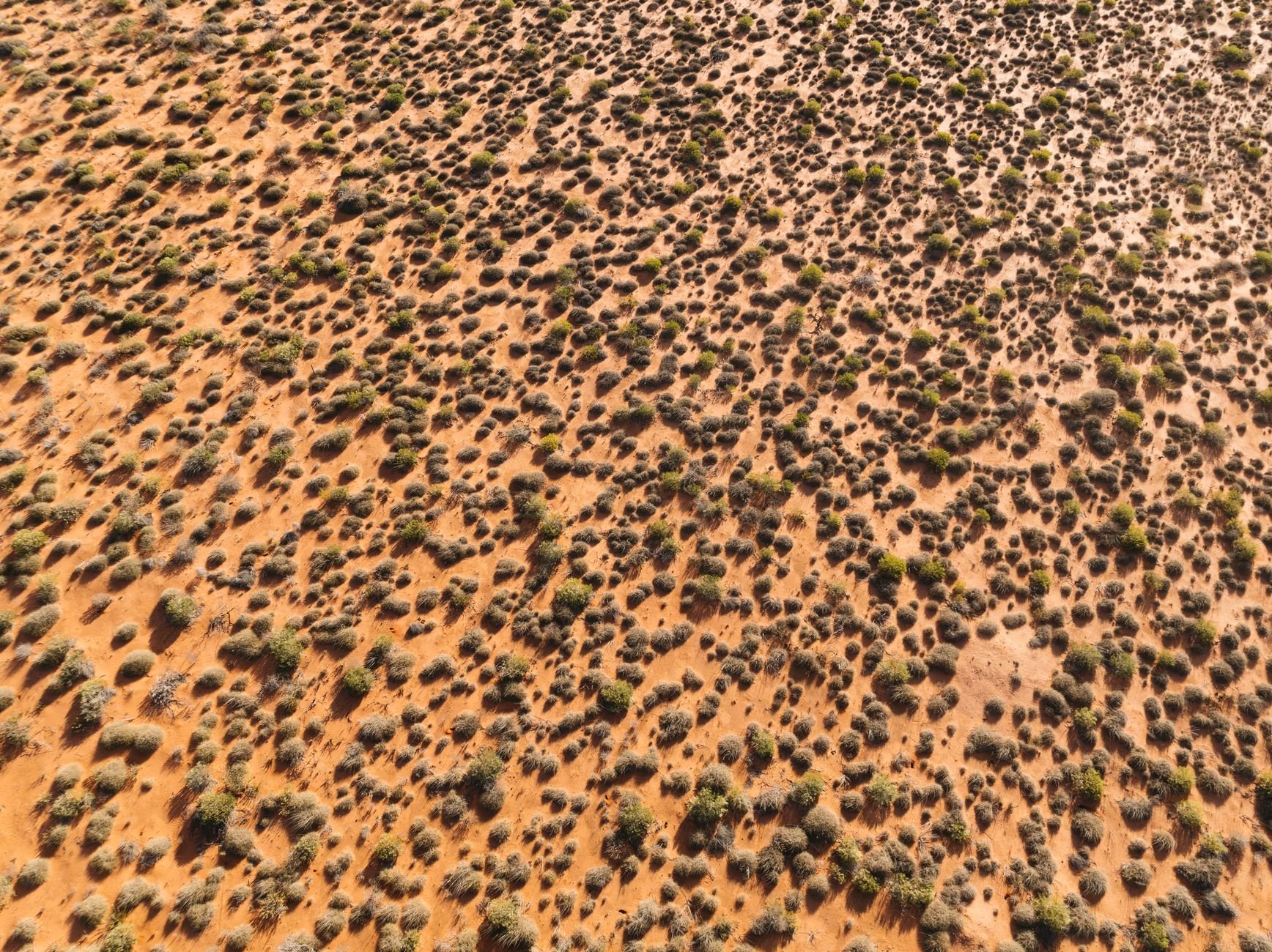 Expansive aerial view of a desert landscape in Australia with scattered shrubs, captured from high above.